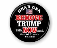 remove trump now small badge